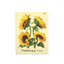 2026 Forever Stamps Sunflowers Stamps, Book of 20