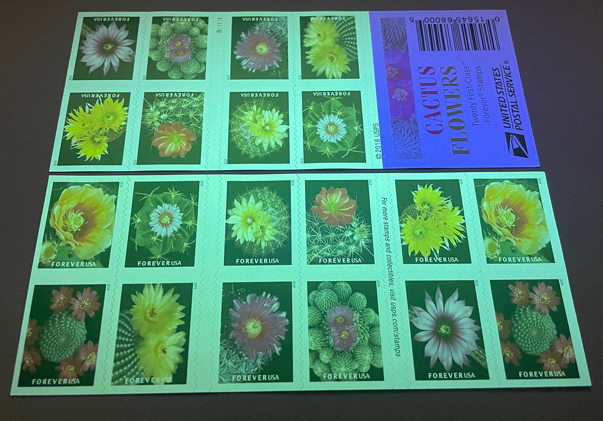 Cactus Flowers Forever First Class Postage Stamps Secondary image